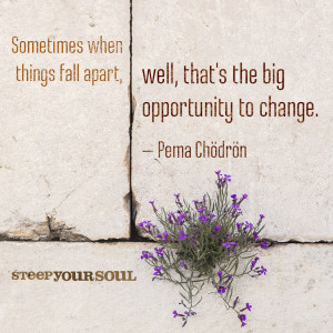 Pema Chodron Quotes Love