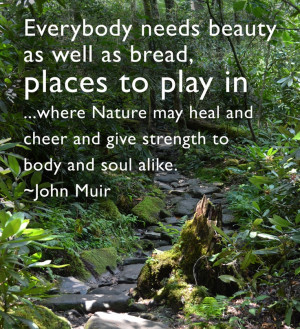 great John Muir quote
