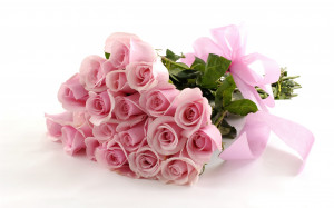 Bunch pink Roses Wallpapers Pictures Photos Images