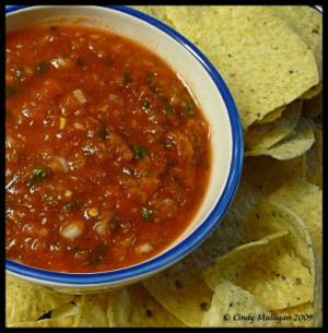 ... food we love salsa and prefer fresh to bottled my son eats salsa a lot