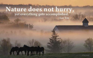 Nature Does Not Hurry Beauty Quotes