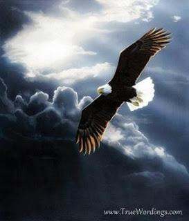 All birds find shelter during a rain. But Eagles avoid rain by flying ...