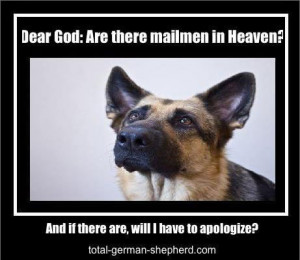 German Shepherd Memes