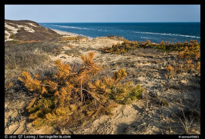 Cape Cod National Seashore