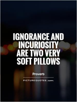 Ignorance and incuriosity are two very soft pillows