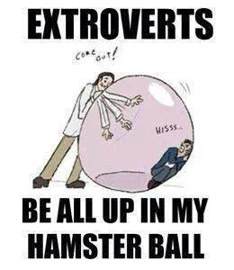 We don’t like our hamster ball invaded. via INFP Think Tank