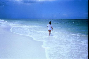 feel we are all islands in a common sea gift from the sea 1955