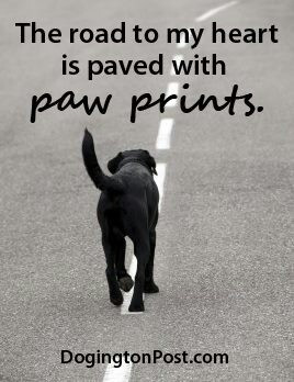 The road to my heart is paved with paw prints.