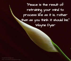 peace-lily-wayne-dyer-peace-quote-500x434.png