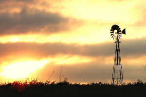... Iowa Girls, Ribbons Bacon, Iowa Life, Homemade Iowa, Sweet Homes