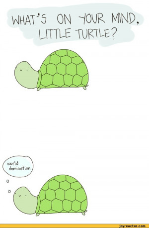 ... TURTLE ?,comics,funny comics & strips, cartoons,turtle,mind,thoughts