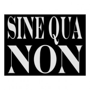 Sine Qua Non Famous Latin Quote: Words to live By Print