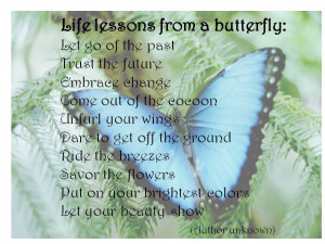 Butterfly Quotes
