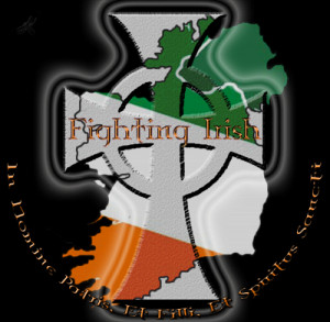 fighting Irish Image