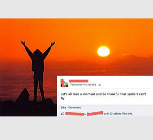 Re: Professor Layton Vs. Ace Attorney and Other Localizations