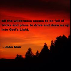 john muir quote www lovehealsus net more quotes 40 god green john muir ...