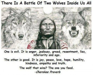 There Is A Battle Of Two Wolves Inside Us All