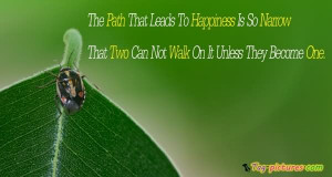 ... That Two Can Not Walk On It Unless They Become One ~ Happiness Quote