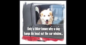 Only a biker knows...