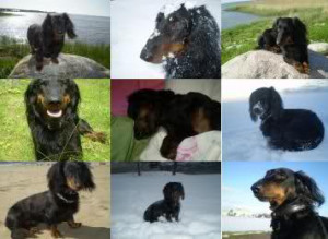 Thread: favorite lil wayne picture