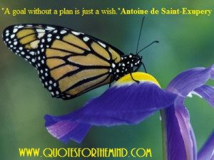 God Without a Plan Is Just a Wish ~ Inspirational Quote