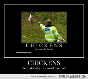 Funny - Chickens