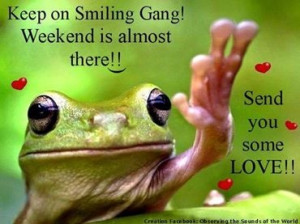 weekend is almost here