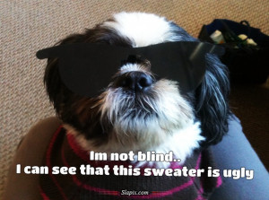 Im not blind | Dogs on Slapix.com