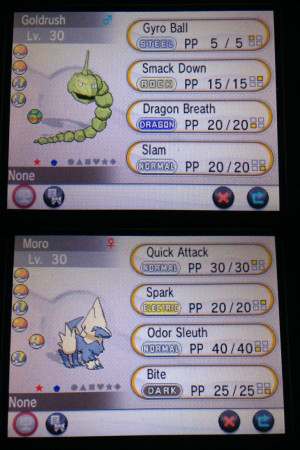 Go Back > Pix For > Shiny Steelix X And Y