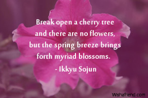 flower-Break open a cherry tree and there are no flowers, but the ...