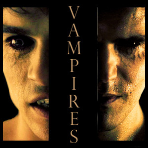The-vampire-Salvatore-brothers-the-vampire-diaries-27945928-500-500 ...