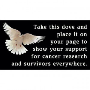 Everyone is affected by Cancer. Either directly or indirectly ...