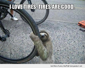 funny-sloth-hugging-bike-biycycle-tire-cuddling-pics.jpg