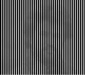 Funny photos funny hidden image optical illusion