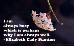 Funny Quote About...