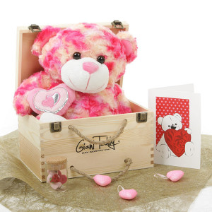 big-love-pink-teddy-bear-16in-1__17527-1327551250-1280-1280-jpg