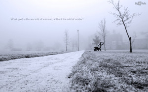 Quotes About Winter Cold
