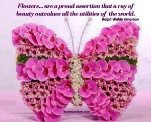 Daily Inspirational Quotes Sayings Flowers Bloom Your World