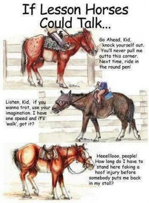 Lesson horses