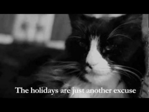 ... the existential cat ponders the true meaning of Christmas [VIDEO