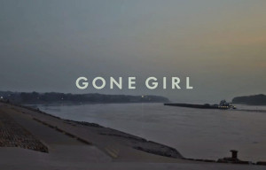 On Using #GoneGirl As An Excuse For Misogynistic 