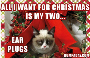 ... grumpy cat grumpy cat grumpy cat christmas 20 pics funny pictures