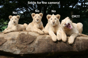 30 Funny animal captions - part 12 (30 pics), animal memes, animal ...