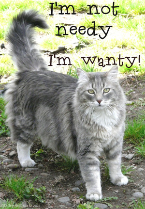 Not Needy I’m Wanty. ~ Cat Quotes