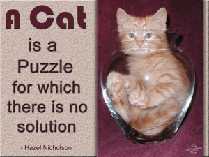 Cat Quotes Graphics, Pictures