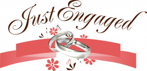 Just Engaged : A Wedding Portal