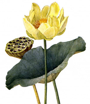 Original File: q012.htm