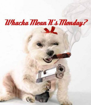 Wacha Mean It's Monday?