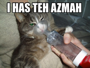 cats : asthma lollers