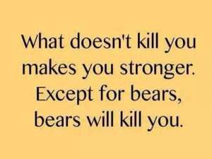 DON'T MESS WITH BEARS
